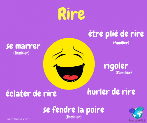comprendre l'humour en français